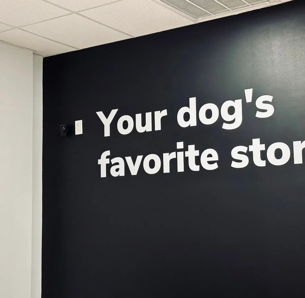 Premium Custom Signage Decal - Large Size | Weather-Resistant Vinyl | Personalized Design - Boston Print Co.